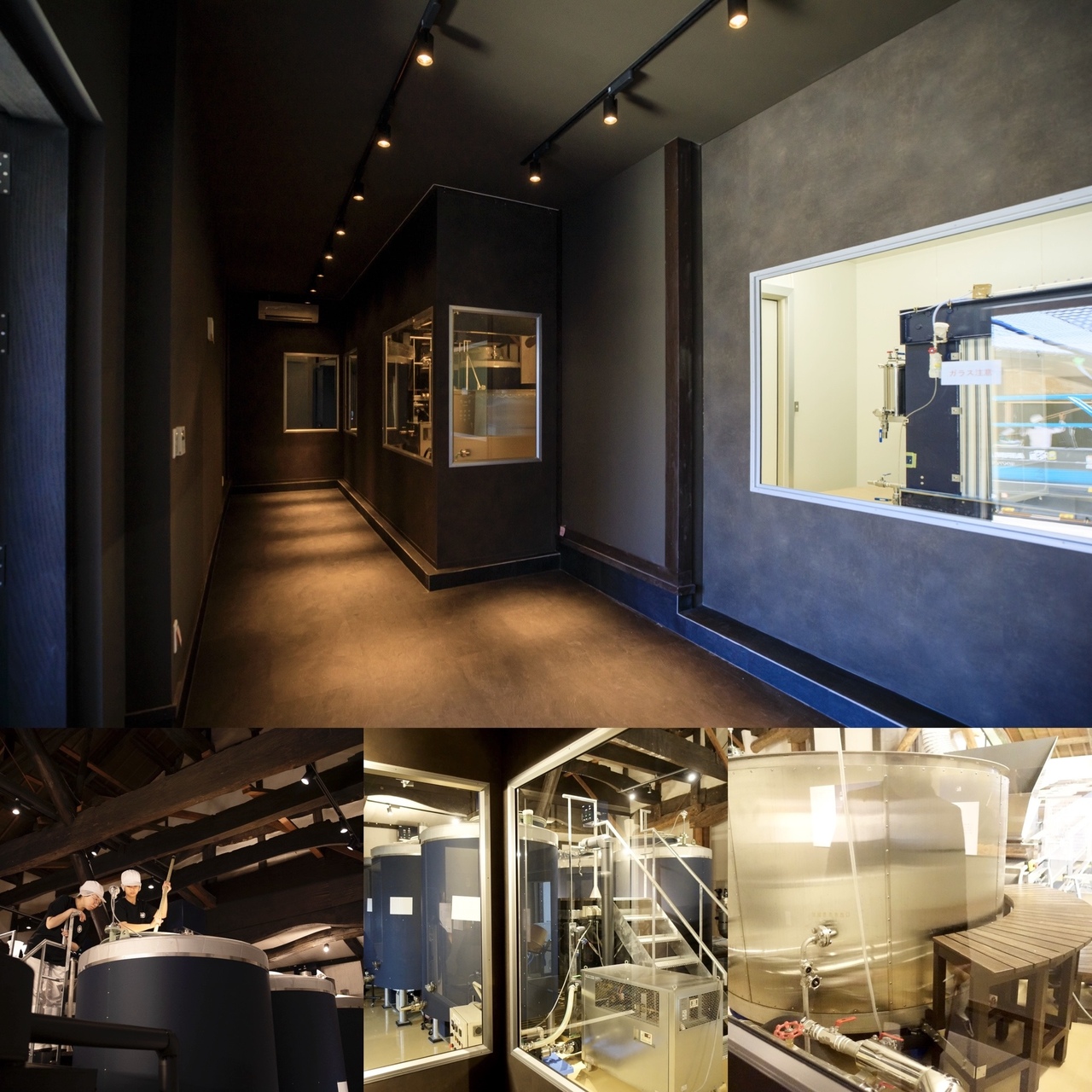 ガラス越しにじっくり見学。